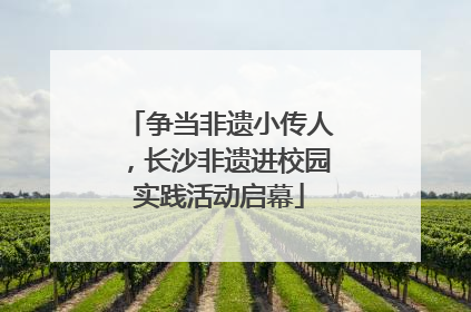 争当非遗小传人，长沙非遗进校园实践活动启幕