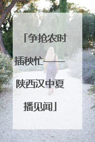 争抢农时插秧忙——陕西汉中夏播见闻