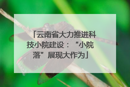 云南省大力推进科技小院建设：“小院落”展现大作为