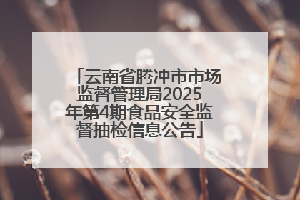 云南省腾冲市市场监督管理局2025年第4期食品安全监督抽检信息公告