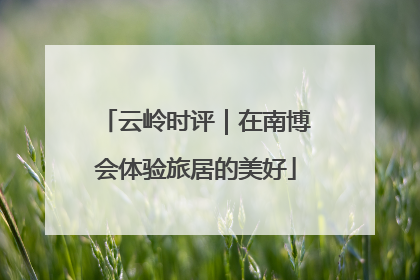 云岭时评｜在南博会体验旅居的美好