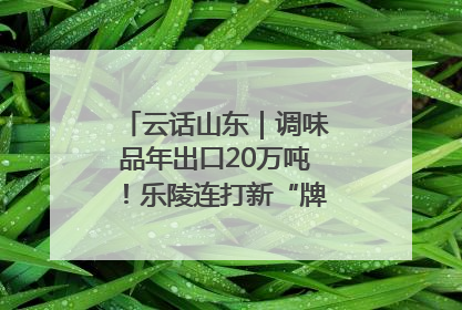 云话山东｜调味品年出口20万吨！乐陵连打新“牌”助力企业出海