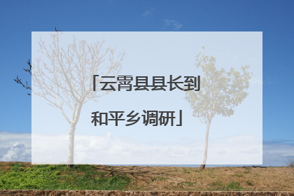 云霄县县长到和平乡调研