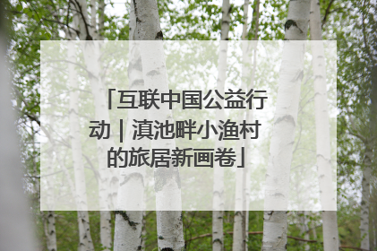 互联中国公益行动｜滇池畔小渔村的旅居新画卷