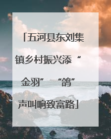 五河县东刘集镇乡村振兴添“金羽” “鸽”声叫响致富路