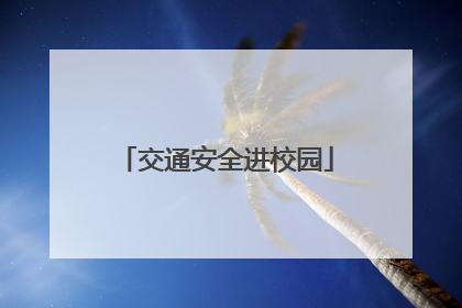 交通安全进校园