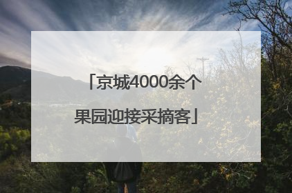 京城4000余个果园迎接采摘客