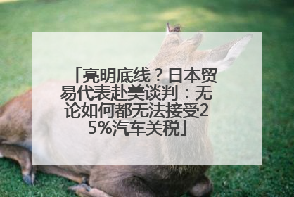 亮明底线？日本贸易代表赴美谈判：无论如何都无法接受25%汽车关税