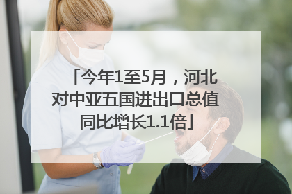 今年1至5月，河北对中亚五国进出口总值同比增长1.1倍
