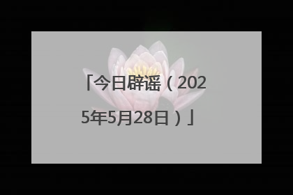 今日辟谣（2025年5月28日）