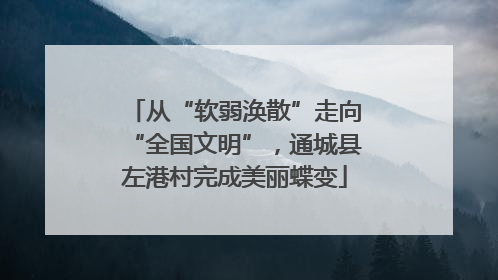 从“软弱涣散”走向“全国文明”，通城县左港村完成美丽蝶变