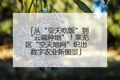 从“靠天吃饭”到“云端种地”！莱芜区“空天地网”织出数字农业新图景