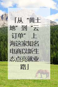 从“黄土地”到“云订单” 上海这家知名电商以新生态点亮就业路