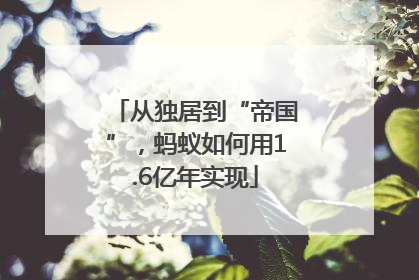 从独居到“帝国”，蚂蚁如何用1.6亿年实现