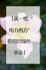 从一纸“电力药方”看绍兴绿色革命
