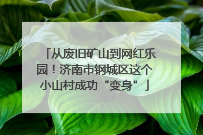 从废旧矿山到网红乐园！济南市钢城区这个小山村成功“变身”