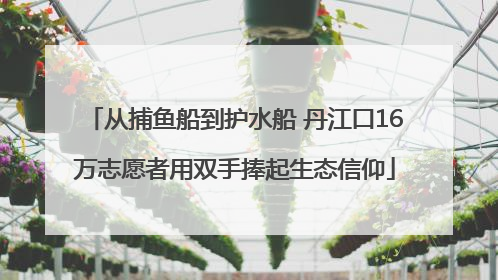 从捕鱼船到护水船 丹江口16万志愿者用双手捧起生态信仰