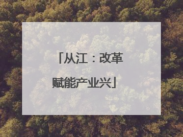 从江：改革赋能产业兴