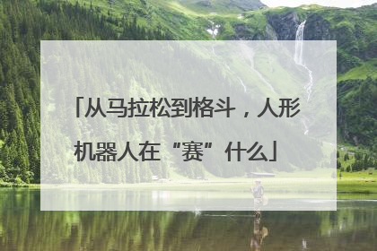 从马拉松到格斗，人形机器人在“赛”什么