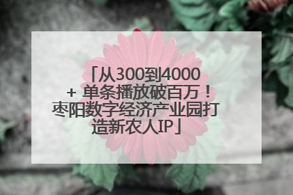 从300到4000+ 单条播放破百万！枣阳数字经济产业园打造新农人IP