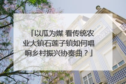 以瓜为媒 看传统农业大镇石莲子镇如何唱响乡村振兴协奏曲？