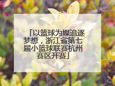以篮球为媒追逐梦想，浙江省第七届小篮球联赛杭州赛区开赛
