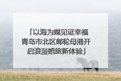 以海为媒见证幸福 青岛市北区邮轮母港开启浪漫婚旅新体验