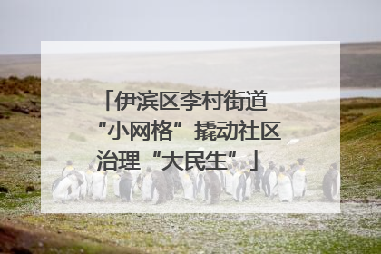伊滨区李村街道 “小网格”撬动社区治理“大民生”