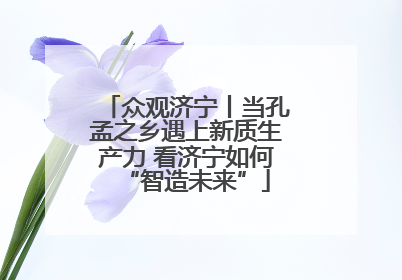 众观济宁丨当孔孟之乡遇上新质生产力 看济宁如何“智造未来”