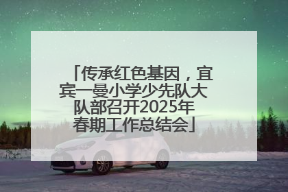 传承红色基因，宜宾一曼小学少先队大队部召开2025年春期工作总结会