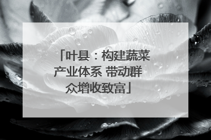 叶县：构建蔬菜产业体系 带动群众增收致富