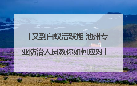 又到白蚁活跃期 池州专业防治人员教你如何应对