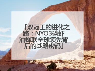 双冠王的进化之路：NYO3磷虾油蝉联全球领先背后的战略密码