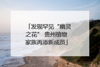 发现罕见“幽灵之花” 贵州植物家族再添新成员