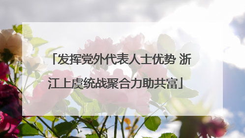发挥党外代表人士优势 浙江上虞统战聚合力助共富