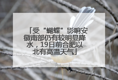 受“蝴蝶”影响安徽南部仍有较明显降水，19日前合肥以北有高温天气