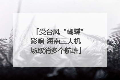 受台风“蝴蝶”影响 海南三大机场取消多个航班