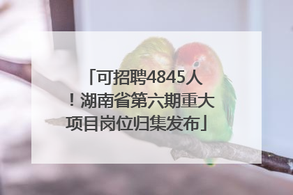 可招聘4845人！湖南省第六期重大项目岗位归集发布