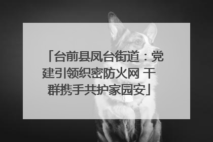 台前县凤台街道：党建引领织密防火网 干群携手共护家园安