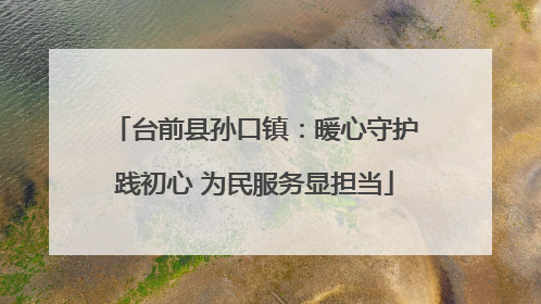 台前县孙口镇：暖心守护践初心 为民服务显担当