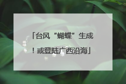台风“蝴蝶”生成！或登陆广西沿海