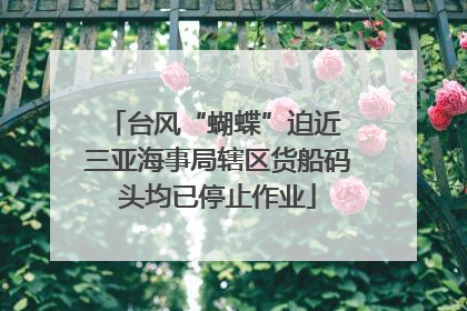 台风“蝴蝶”迫近 三亚海事局辖区货船码头均已停止作业