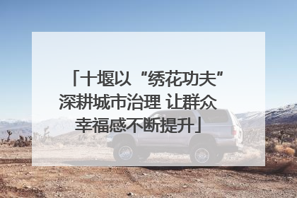 十堰以“绣花功夫”深耕城市治理 让群众幸福感不断提升
