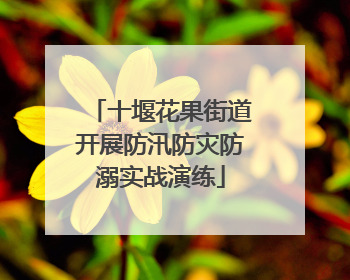 十堰花果街道开展防汛防灾防溺实战演练