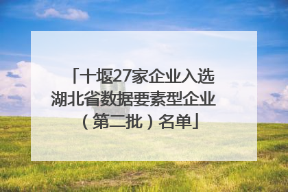 十堰27家企业入选湖北省数据要素型企业（第二批）名单