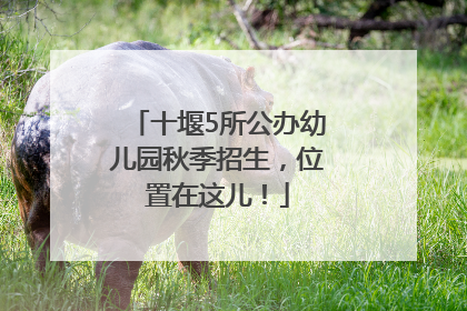 十堰5所公办幼儿园秋季招生，位置在这儿！