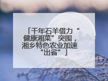 千年石羊借力“健康湘菜”突围，湘乡特色农业加速“出省”
