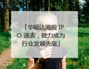 华曦达港股 IPO 递表，致力成为行业发展先驱