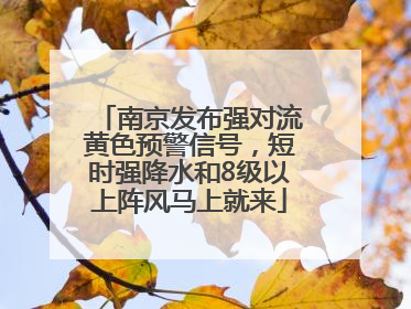 南京发布强对流黄色预警信号，短时强降水和8级以上阵风马上就来