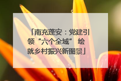 南充蓬安：党建引领“六个全域” 绘就乡村振兴新图景